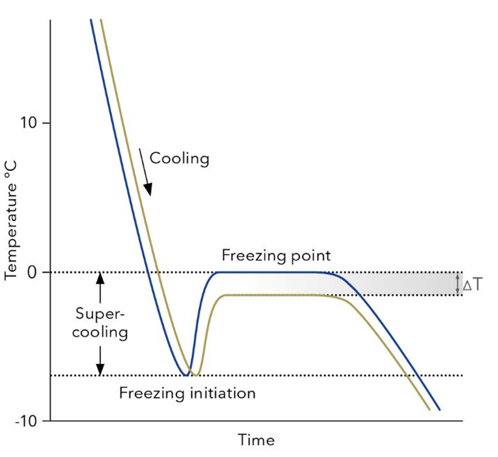 Temperature curves of freezing point measurements
