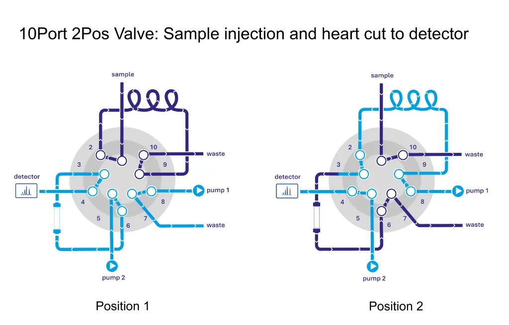 10Port-2pos_heart_cut.webp