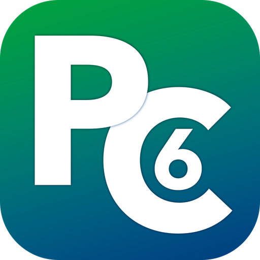 [A26861] PurityChrom 6 LNP XL GMP