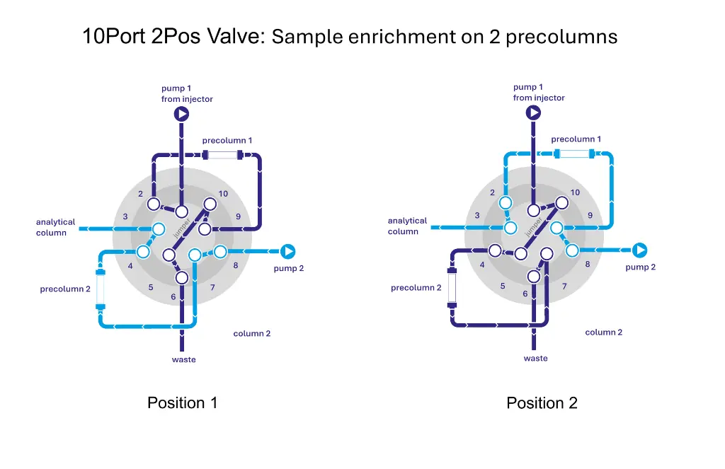 AVC48AC_Sample_Enrichment.webp