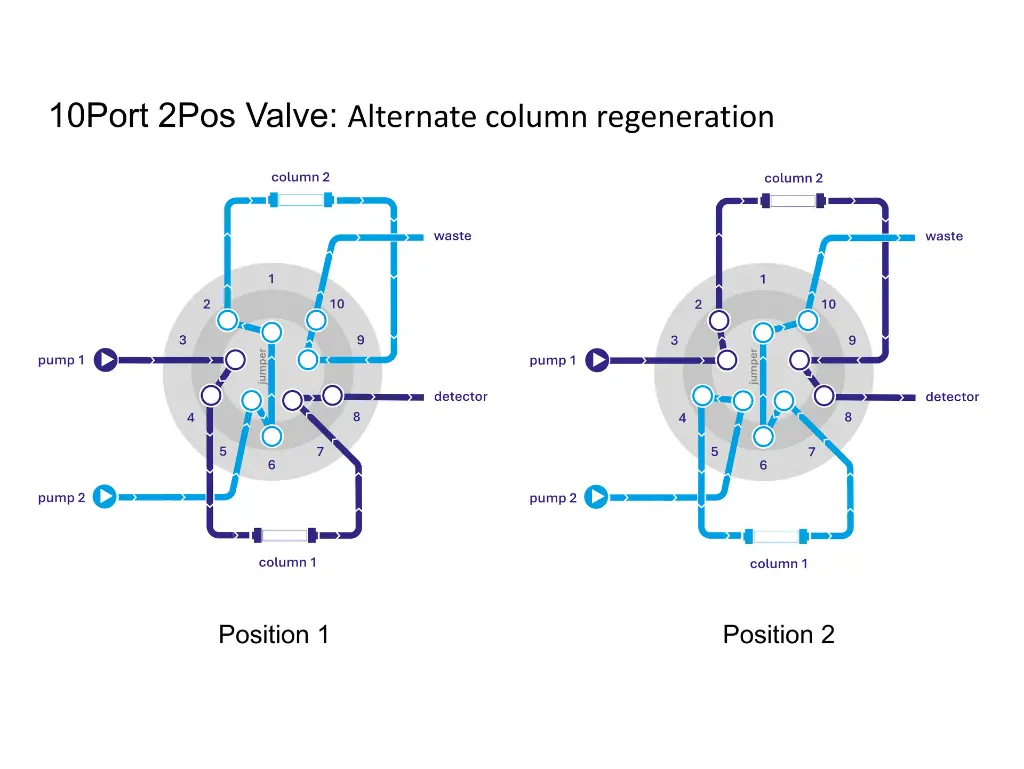 AVC48AC_column_regeneration.webp