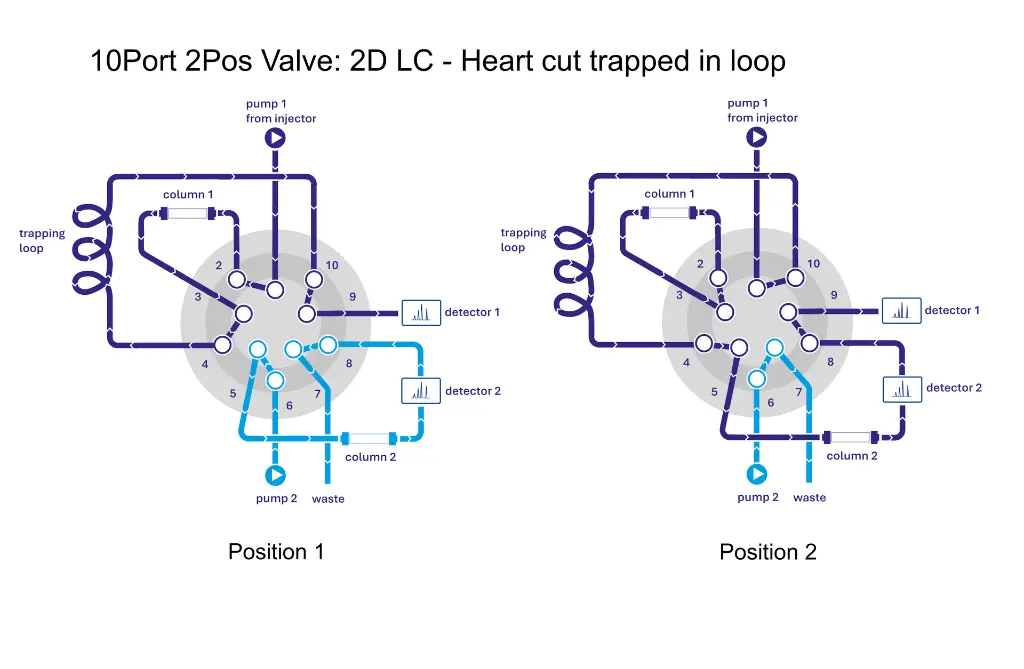 AVC48AC_Heart_Cut_klein.webp