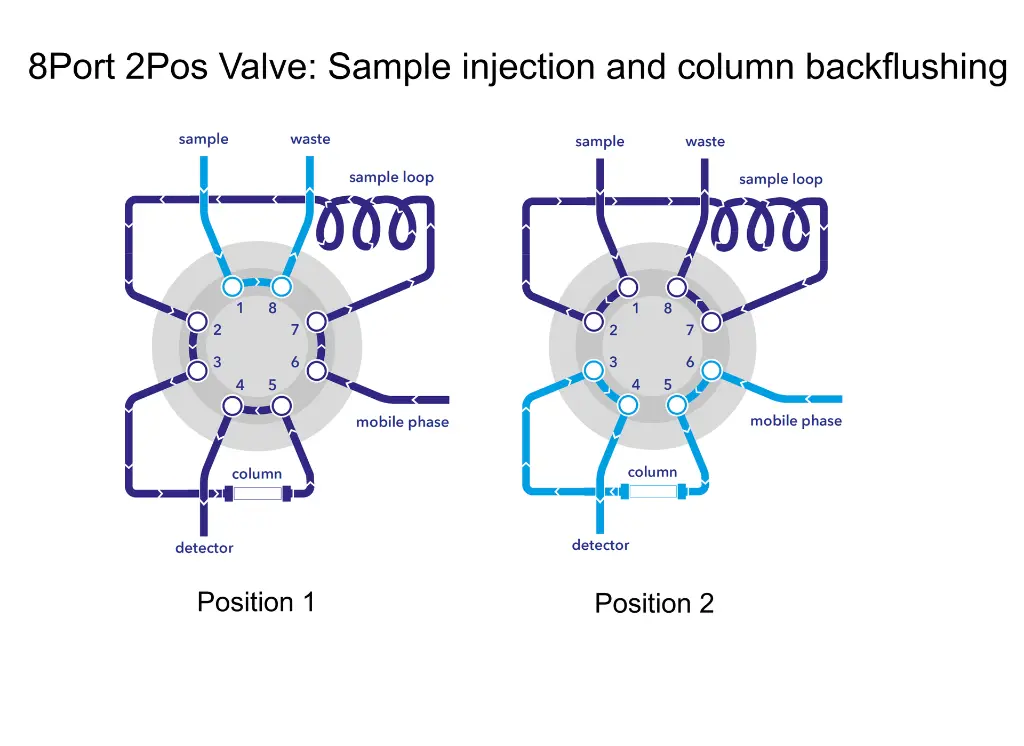 8Port2Pos_LoopSel.webp