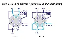 8Port2Pos_LoopSel.webp