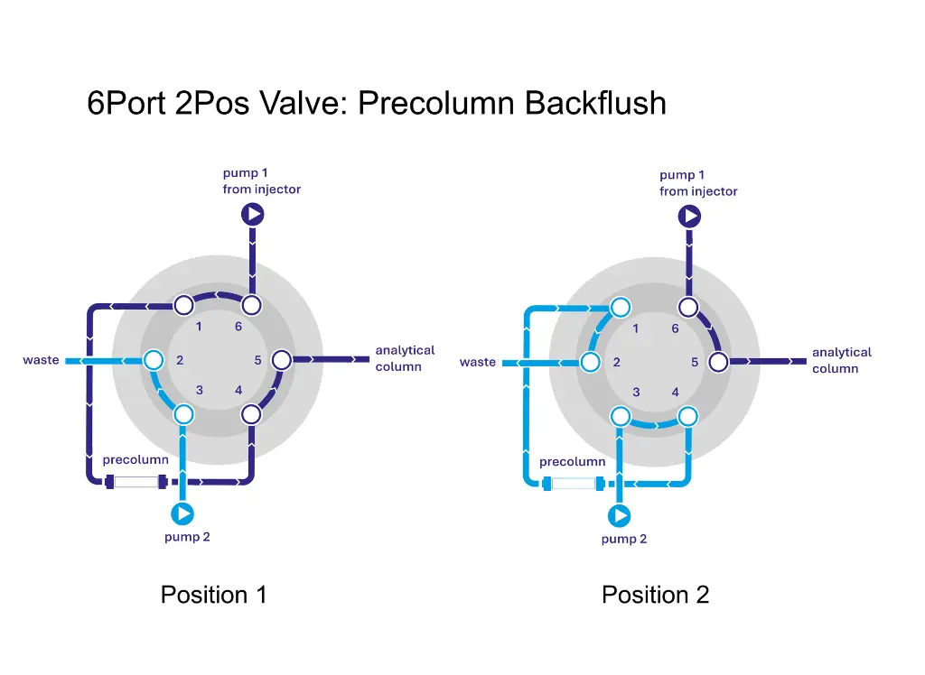 6Port2Pos_Precolumn_flush.webp