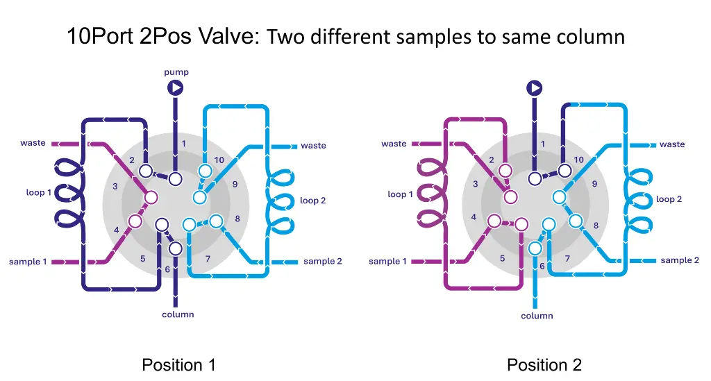 10Port-2pos_2Samples_1Column.webp