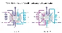 10Port-2pos_2Samples_1Column.webp