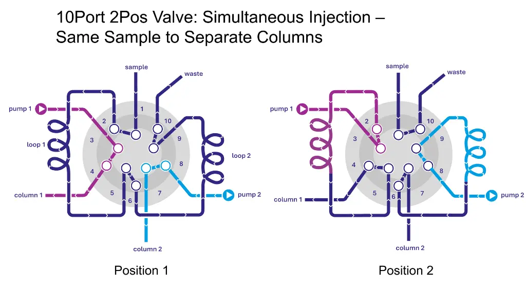 10Port-2pos_1Sample_2Columns.webp