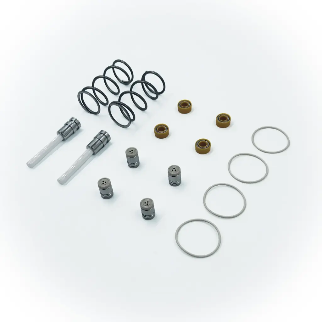 Maintenance Kit Pump Head 100ml